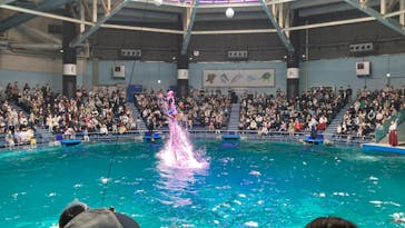 マクセル アクアパーク品川に投稿された画像（2022/4/18）