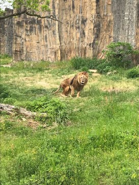 九十九島動植物園森きららに投稿された画像（2022/4/18）