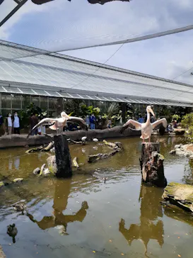 神戸どうぶつ王国に投稿された画像（2022/4/18）