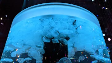 マクセル アクアパーク品川に投稿された画像（2022/4/18）