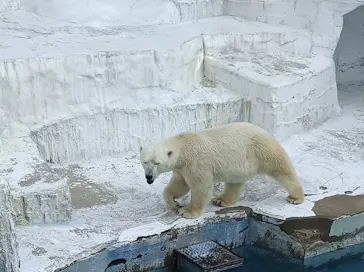 天王寺動物園に投稿された画像（2022/4/18）
