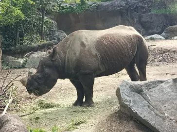 天王寺動物園に投稿された画像（2022/4/18）