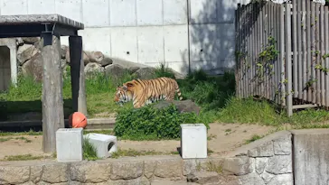 天王寺動物園に投稿された画像（2022/4/18）