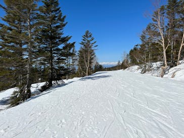 志賀高原マウンテンリゾートに投稿された画像（2022/4/18）