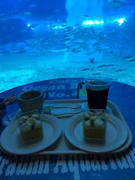 沖縄美ら海水族館に投稿された画像（2022/4/18）