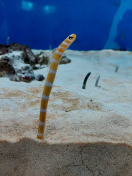仙台うみの杜水族館に投稿された画像（2022/4/18）