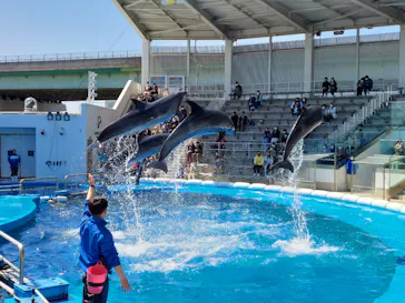 仙台うみの杜水族館に投稿された画像（2022/4/18）