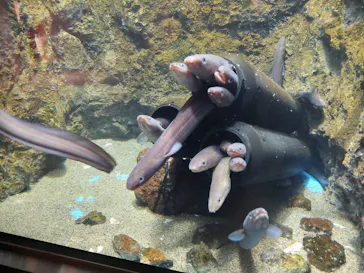 仙台うみの杜水族館に投稿された画像（2022/4/18）