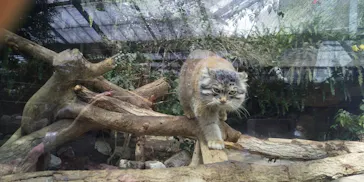 神戸どうぶつ王国に投稿された画像（2022/4/18）