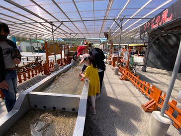 淡路ワールドパークONOKOROに投稿された画像（2022/4/19）