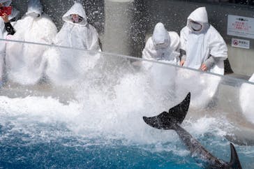 大分マリーンパレス水族館 「うみたまご」に投稿された画像（2022/4/19）