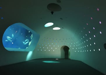 大分マリーンパレス水族館 「うみたまご」に投稿された画像（2022/4/19）