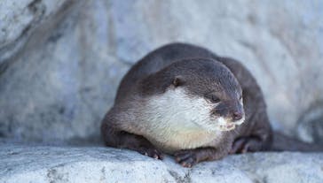 大分マリーンパレス水族館 「うみたまご」に投稿された画像（2022/4/19）