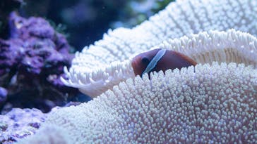 大分マリーンパレス水族館 「うみたまご」に投稿された画像（2022/4/19）