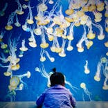 新江ノ島水族館に投稿された画像（2022/4/19）