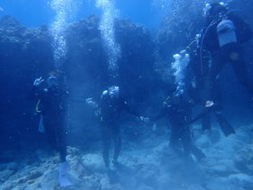 M.a.r.i.n.e Factoryに投稿された画像（2022/4/19）