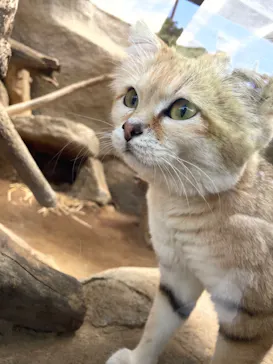 神戸どうぶつ王国に投稿された画像（2022/4/19）