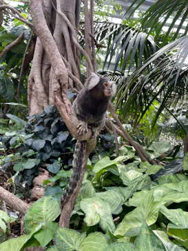 神戸どうぶつ王国に投稿された画像（2022/4/19）