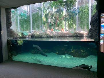 大分マリーンパレス水族館 「うみたまご」に投稿された画像（2022/4/19）