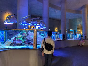 大分マリーンパレス水族館 「うみたまご」に投稿された画像（2022/4/19）