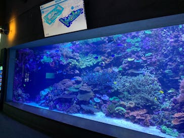 大分マリーンパレス水族館 「うみたまご」に投稿された画像（2022/4/19）