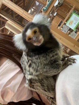 長崎バイオパークに投稿された画像（2022/4/19）