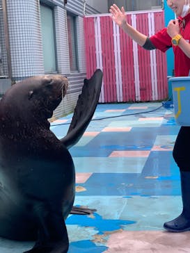 ゼロ距離水族館 伊勢シーパラダイスに投稿された画像（2022/4/19）