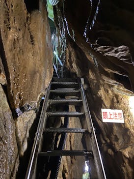 あぶくま洞に投稿された画像（2022/4/19）