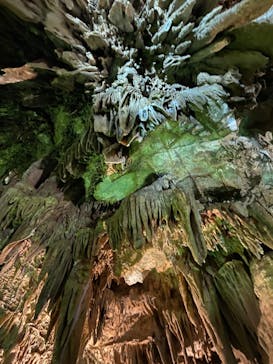 あぶくま洞に投稿された画像（2022/4/19）