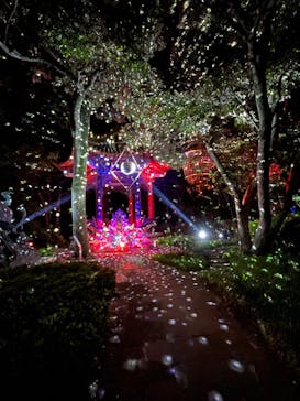 江の島シーキャンドルに投稿された画像（2022/4/19）