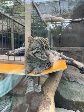 神戸どうぶつ王国に投稿された画像（2022/4/19）