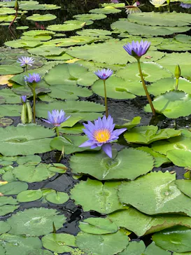神戸どうぶつ王国に投稿された画像（2022/4/19）