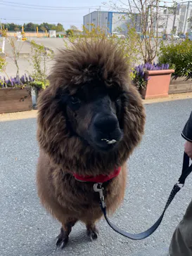 神戸どうぶつ王国に投稿された画像（2022/4/19）