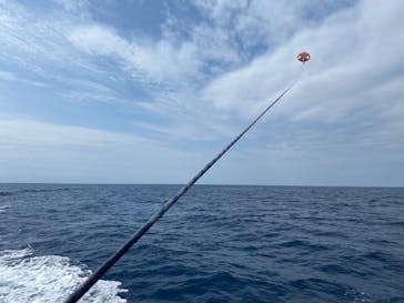 parasailing NOA（パラセーリング  ノア）に投稿された画像（2022/4/19）