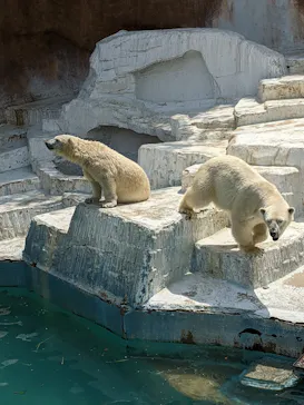 天王寺動物園に投稿された画像（2022/4/19）