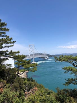 徳島県立 渦の道に投稿された画像（2022/4/19）