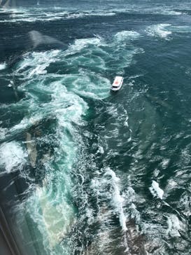 徳島県立 渦の道に投稿された画像（2022/4/19）