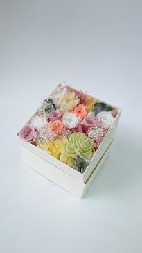 ずこうしつ〜sugamo〜に投稿された画像（2022/4/20）