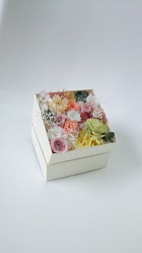 ずこうしつ〜sugamo〜に投稿された画像（2022/4/20）