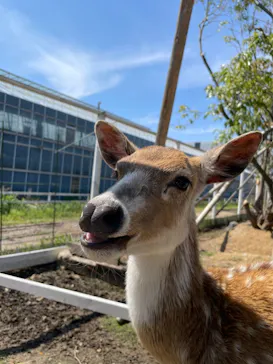 神戸どうぶつ王国に投稿された画像（2022/4/20）