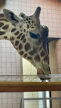 天王寺動物園に投稿された画像（2022/4/20）