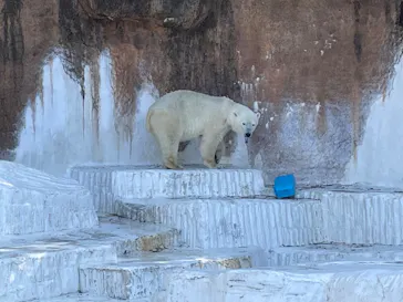 天王寺動物園に投稿された画像（2022/4/20）