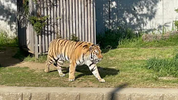 天王寺動物園に投稿された画像（2022/4/20）