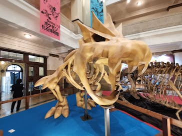 国立科学博物館　特別企画展「ポケモン化石博物館」に投稿された画像（2022/4/20）