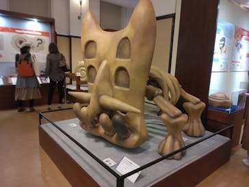 国立科学博物館　特別企画展「ポケモン化石博物館」に投稿された画像（2022/4/20）