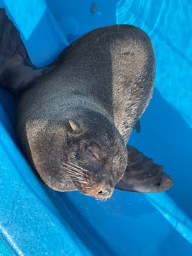 大分マリーンパレス水族館 「うみたまご」に投稿された画像（2022/4/20）