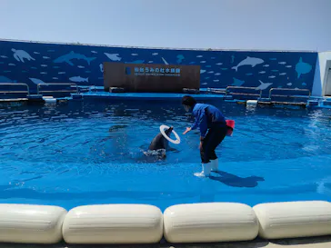 仙台うみの杜水族館に投稿された画像（2022/4/20）