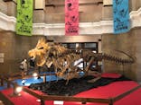 国立科学博物館　特別企画展「ポケモン化石博物館」に投稿された画像（2022/4/20）