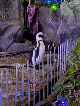 サンシャイン水族館に投稿された画像（2022/4/20）