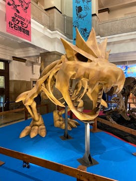 国立科学博物館　特別企画展「ポケモン化石博物館」に投稿された画像（2022/4/20）